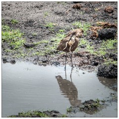 Botswana 04  Look at the size of his catch