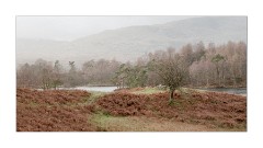 Delicate Colours Tarne Hows