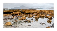 Early Morning Lower Breakish