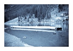 A log on the Lake Maroon Bells