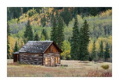 Ashford Silver Minning Ghost Town