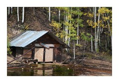 Old Hut surrounded by Aspens