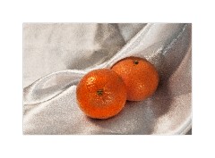 Still Life-Oranges
