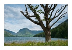 Buttermere