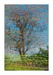 Reflection Loughrigg Tarn