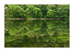 Reflections Grassmere