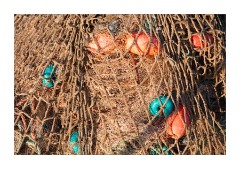 Colourful Nets
