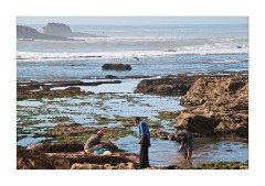 Fishing in Essaouira