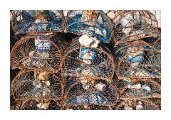 Lobster Pots