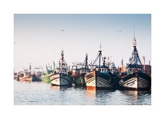Early Morning at the Harbour Essaouira 2