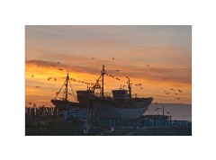 Sunrise at the Harbour Essaouira
