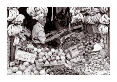 Shop keeper Essaouira