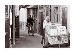 Transportation around the Medina Essaouira