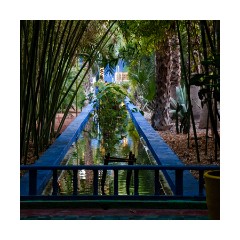 The Marjorelle Gardens