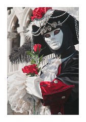 In St Mark's Square with Roses