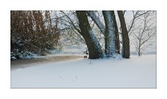 The Green Great Cambourne