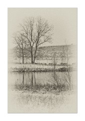 Whooping Willow Lake  2