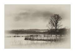 Cambourne in Winter January 2010