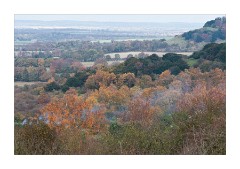 The Chilterns in Autumn