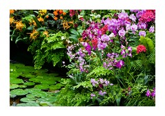 General View at the Princess of Wales Conservatory