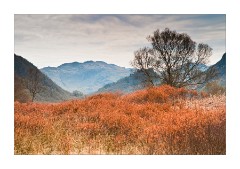 Colours of Spring at Grange