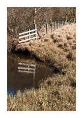 Fence reflections
