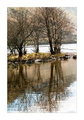 Reflections at Brother's Water