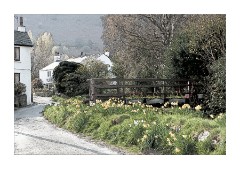 Spring in Braithwaite