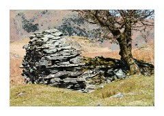 Wonderful slate wall and tree