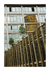 Odd Angles on Buildings 3