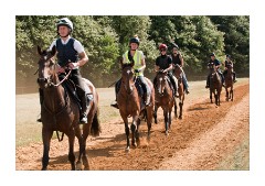 Back for another gallop up the gallups