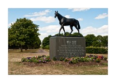 Statue of Mill Reef