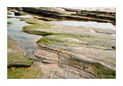Pattern Rocks on Embleton Beach