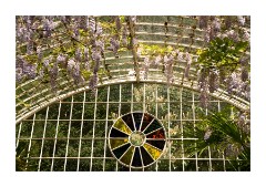 Swiss Garden Conservatory