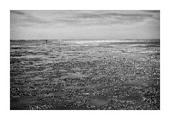 Patterns on Snettisham Beach