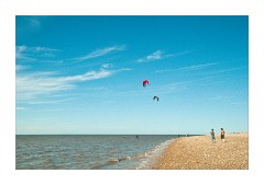 Snettisham July 2010