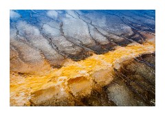 Bacterial Mats -Prismatic Springs Midway Geyser Basin