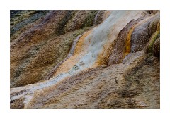 New Blue Spring at Mammoth Hot Springs