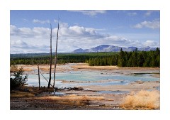 Porcelain Basin - Norris Geyser Basin