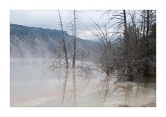 Reflections at Canary Spring - Mammoth Hot Spring