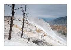 Steam and Mist at Canary Spring - Mammoth Hot Spring 2