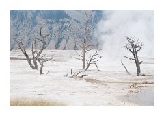 Steam and Mist at Canary Spring - Mammoth Hot Spring