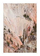 View of The Grand Canyon and Yellowstone River 3