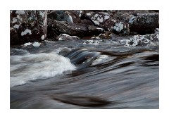 Beach at Garvie Bay 3