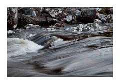 Beach at Garvie Bay 4