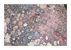 Beach at Garvie Bay 5