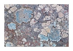 Beach at Garvie Bay 6