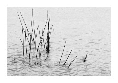 Lochan at Drumrunie 5