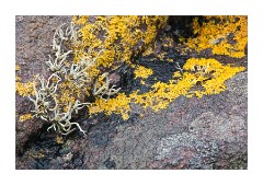 The Beach at Achnahaird Bay 3