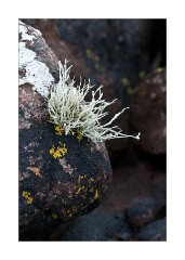 The Beach at Achnahaird Bay 4